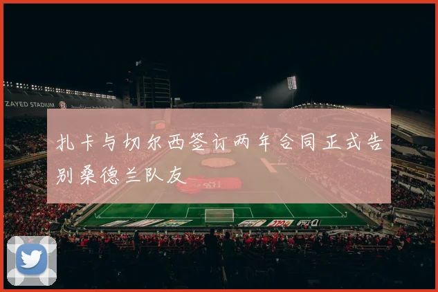 扎卡与切尔西签订两年合同正式告别桑德兰队友